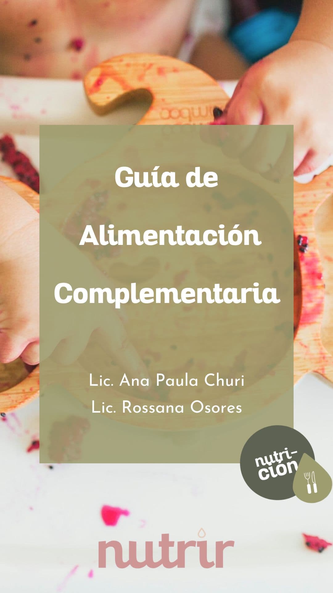 Guía de alimentación complementaria